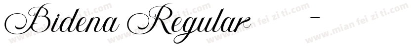 Bidena Regular字体字体转换